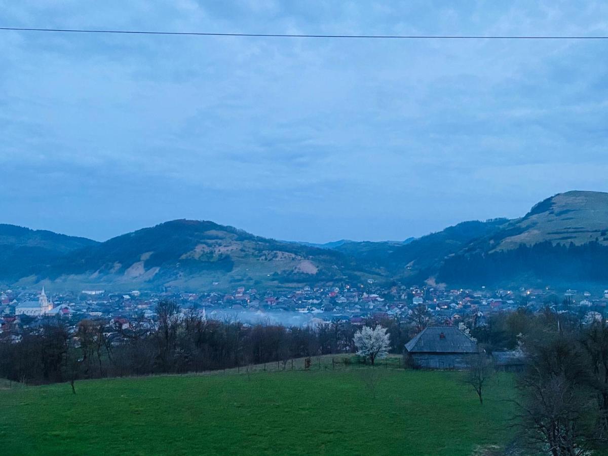 Panoramic Sus In Deal 下维谢乌乡 外观 照片